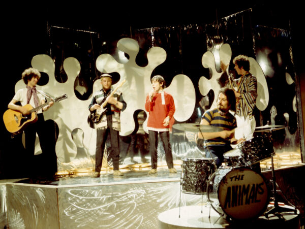 The Animals - Image 3